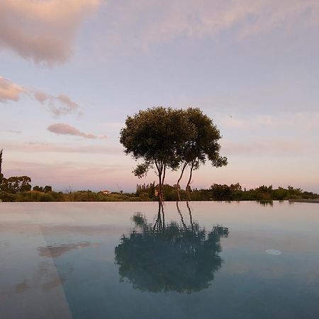 Villa Anemeli 斯巴达 外观 照片